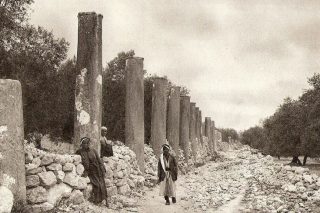 Ruins of Samaria